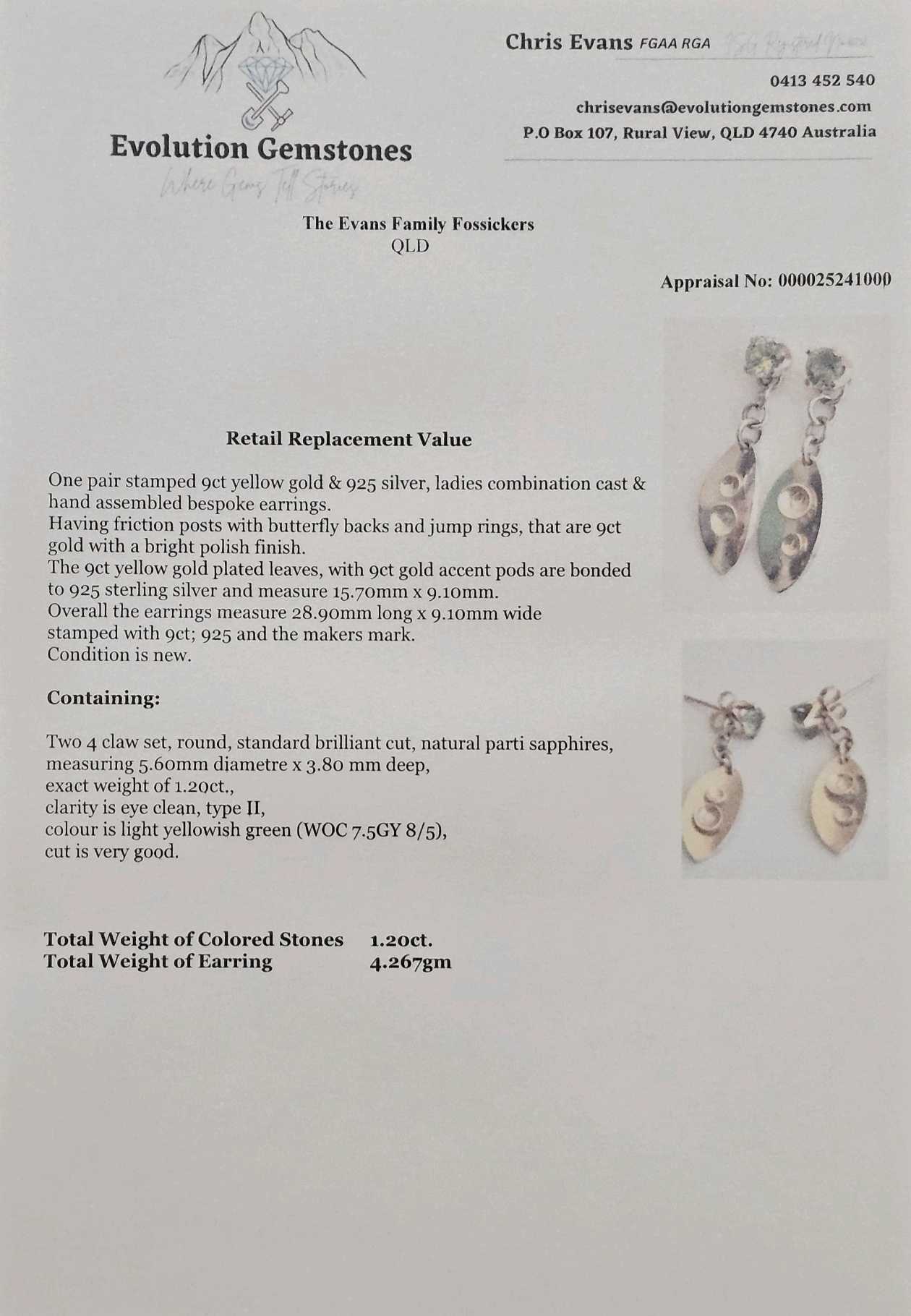 Twist Entwine Verdure Earrings - Evolution Gemstones