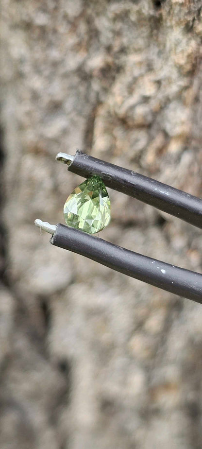 0.655ct Light green pear sapphire - Evolution Gemstones