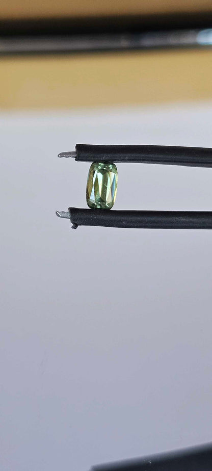 0.560ct Mellow greenish yellow sapphire - Evolution Gemstones