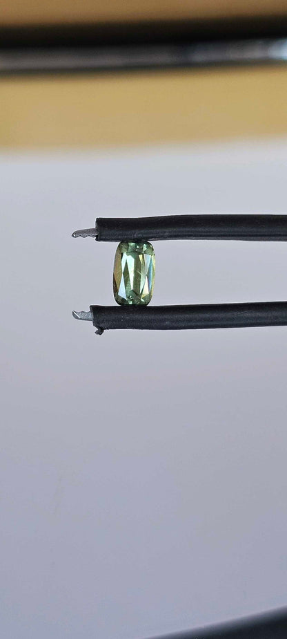 0.560ct Mellow greenish yellow sapphire - Evolution Gemstones