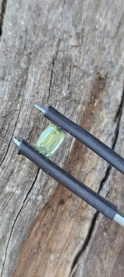 0.560ct Mellow greenish yellow sapphire - Evolution Gemstones