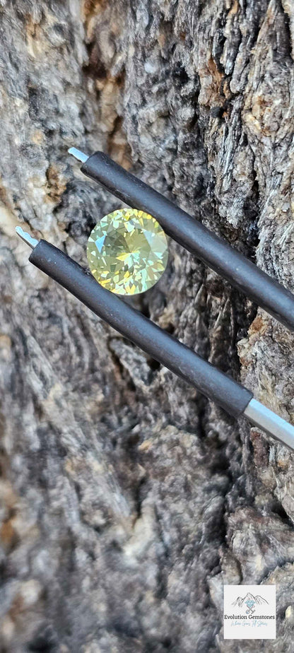 0.985ct Australian Pale Citrus Parti Sapphire - Evolution Gemstones