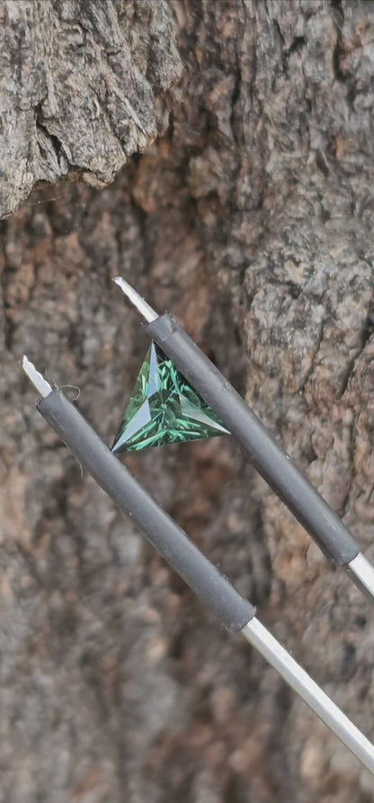 The Green Triangle