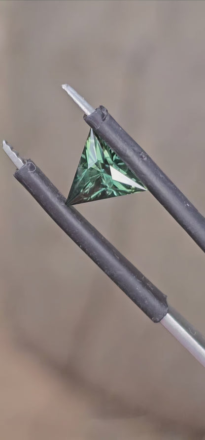 The Green Triangle