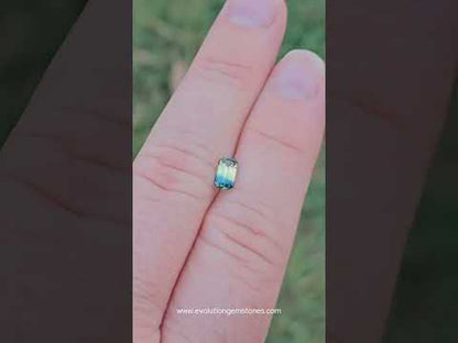 Blue yellow parti
