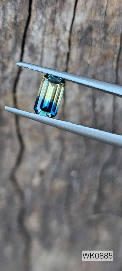 Blue yellow parti - Evolution Gemstones