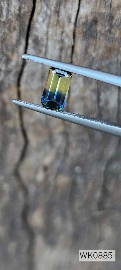 Blue yellow parti - Evolution Gemstones