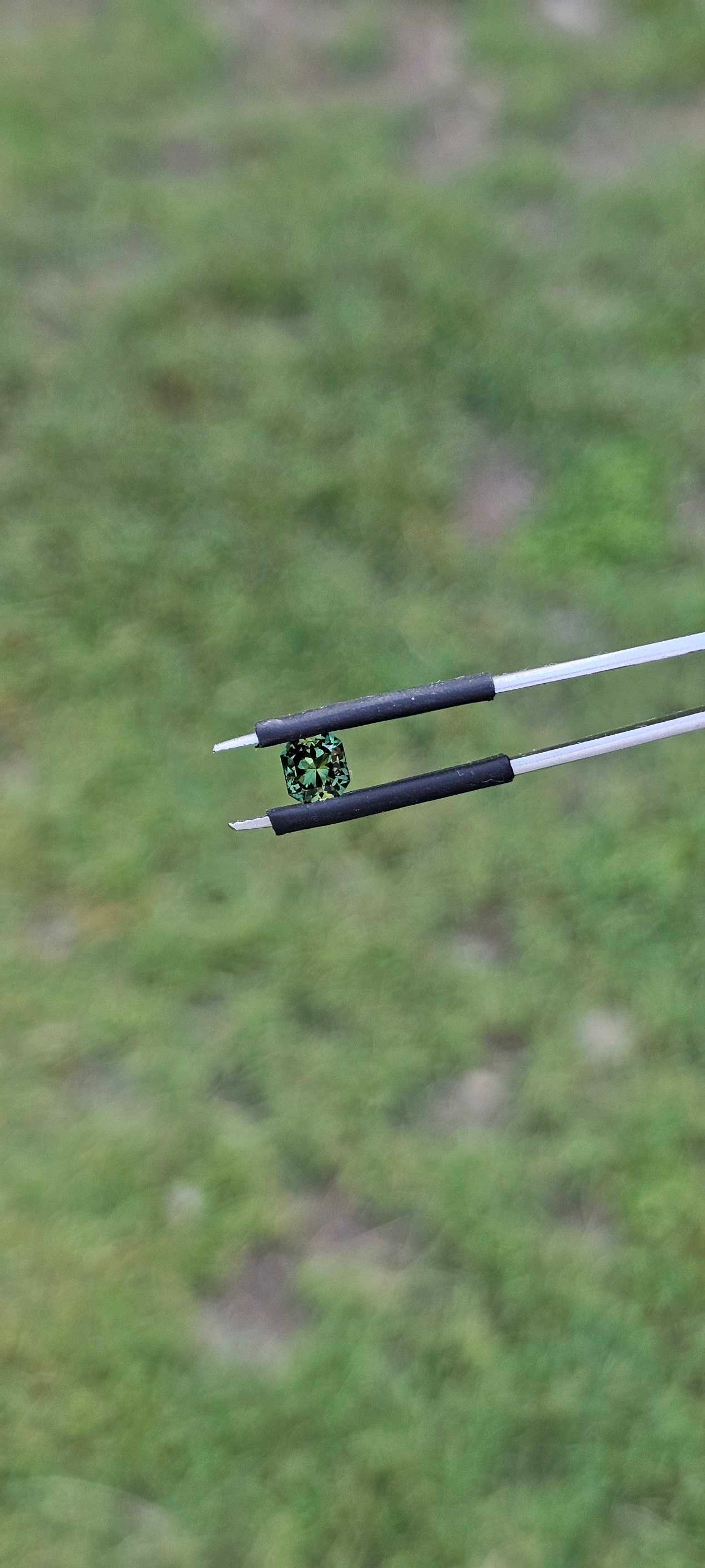 Green square brilliant cut Australian sapphire held in jewller's tweezers against a soft green outdoor area